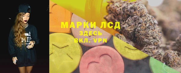 ГАЛЛЮЦИНОГЕННЫЕ ГРИБЫ Алзамай