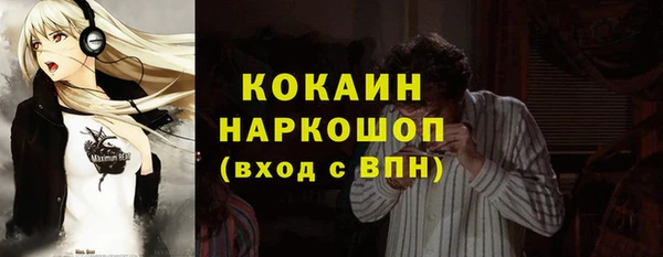 бошки Алексин
