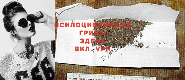 бошки Алексин