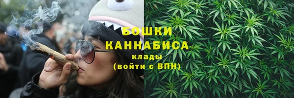 ГАЛЛЮЦИНОГЕННЫЕ ГРИБЫ Алзамай