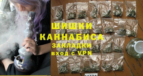 бошки Алексин