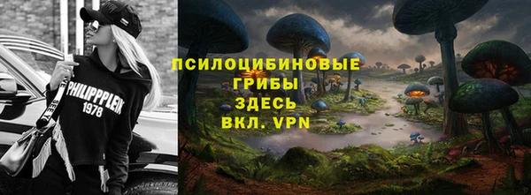 бошки Алексин