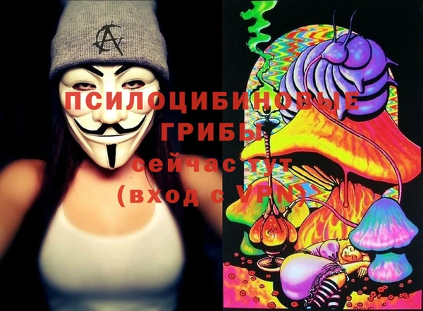 бошки Алексин