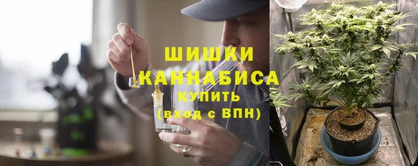 бошки Алексин