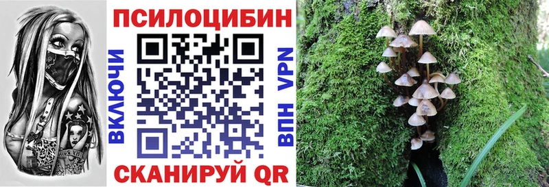 купить  цена  Калтан  Псилоцибиновые грибы Psilocybine cubensis 