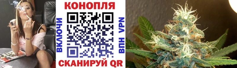 купить  сайты  Калтан  Конопля марихуана 